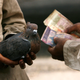India-Pakistan-Spy-Pigeon